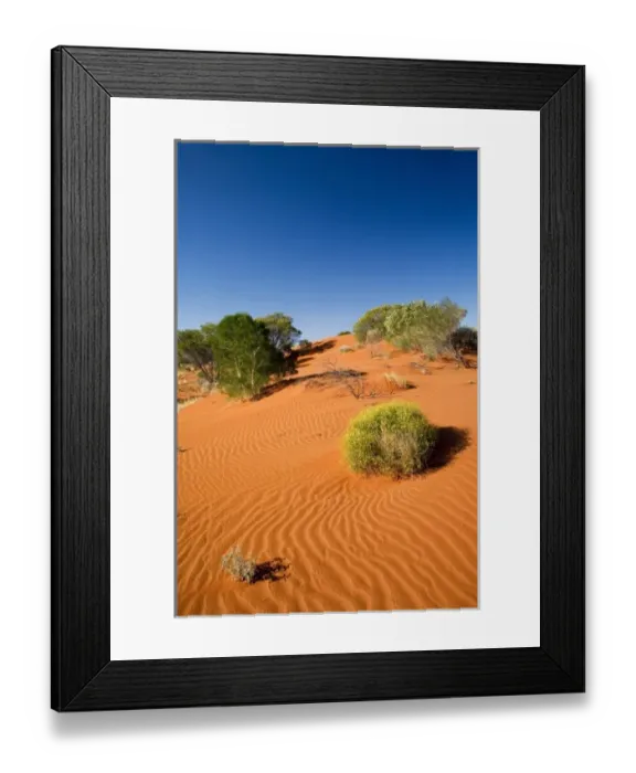 Framed Print : Sand Dunes, Uluru - Kata Tjuta National Park, World Heritage Area, Northern Territory Framed Print : Sand Dunes, Uluru - Kata Tjuta National Park, World Heritage Area, Northern Territory