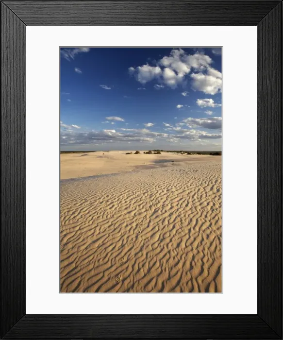 Framed Print : Sand Dunes, Mungo National Park, Outback New South Wales, Australia Framed Print : Sand Dunes, Mungo National Park, Outback New South Wales, Australia