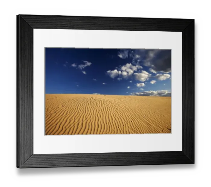 Framed Print : Lizard Tracks and Sand Dune, Mungo National Park, Outback New South Wales, Australia Framed Print : Lizard Tracks and Sand Dune, Mungo National Park, Outback New South Wales, Australia