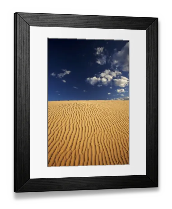 Framed Print : Australia. Lizard Tracks and Sand Dune, Mungo National Park Framed Print : Australia. Lizard Tracks and Sand Dune, Mungo National Park