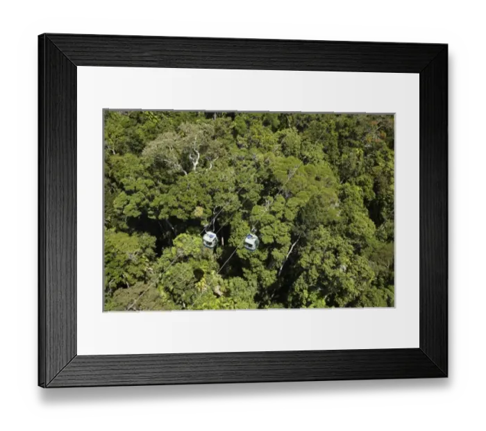 Framed Print : Australia. Skyrail, Barron Gorge National Park Framed Print : Australia. Skyrail, Barron Gorge National Park