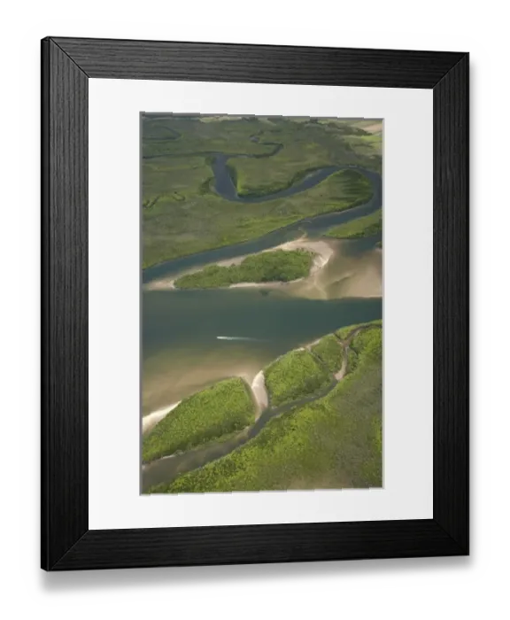Framed Print : Australia. Daintree River, Daintree National Park 