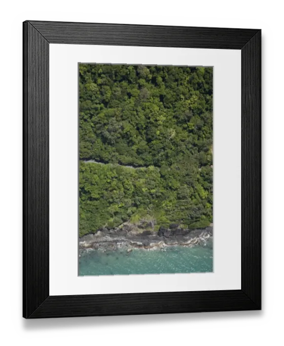 Framed Print : Road to Cape Tribulation (and flock of birds), Daintree National Park (World Heritage Area) Framed Print : Road to Cape Tribulation (and flock of birds), Daintree National Park (World Heritage Area)