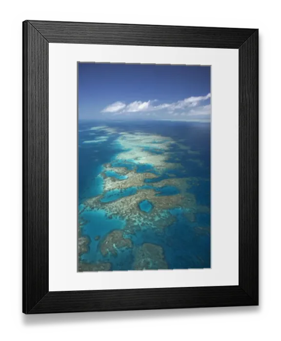 Framed Print : Tongue Reef, Great Barrier Reef Marine Park, North Queensland, Australia - aerial