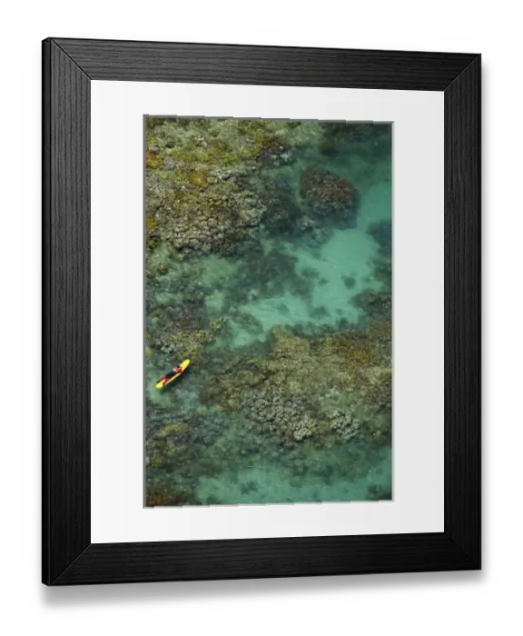 Framed Print : Life Guard and Coral Reef, Low Isles, Great Barrier Reef Marine Park, near Port Douglas