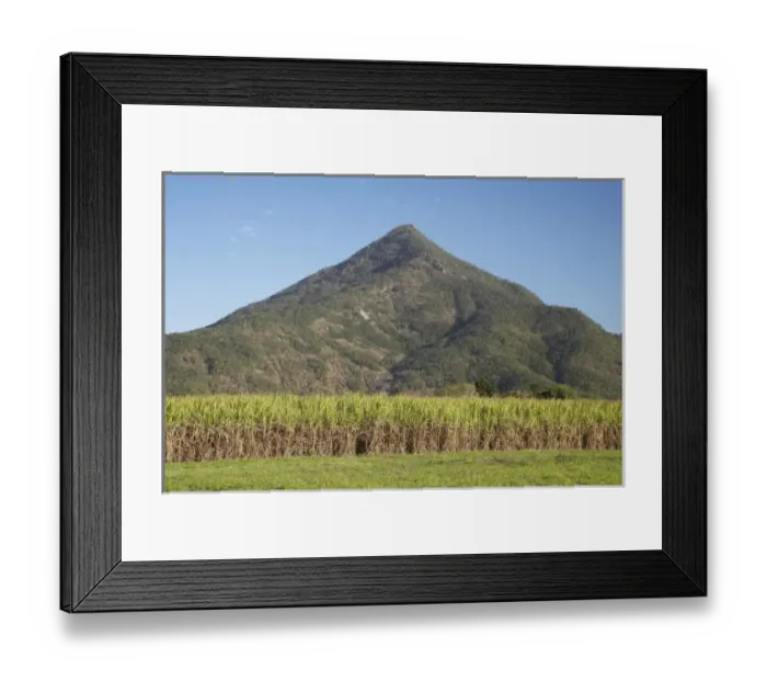 Framed Print : Australia. Sugar Cane Fields and Walshs Pyramid