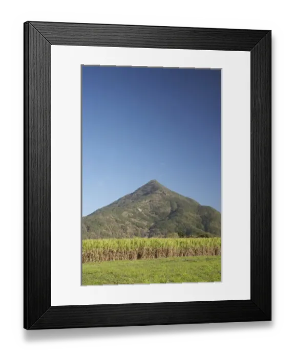 Framed Print : Sugar Cane Fields and Walshs Pyramid, Gordonvale, near Cairns, North Queensland Framed Print : Sugar Cane Fields and Walshs Pyramid, Gordonvale, near Cairns, North Queensland