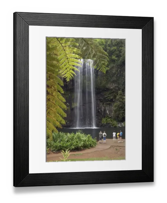 Framed Print : Australia. Millaa Millaa Falls, Atherton Tableland, Queensland, Australia Framed Print : Australia. Millaa Millaa Falls, Atherton Tableland, Queensland, Australia