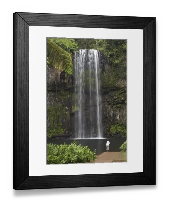 Framed Print : Australia. Millaa Millaa Falls, Atherton Tableland, Queensland, Australia Framed Print : Australia. Millaa Millaa Falls, Atherton Tableland, Queensland, Australia