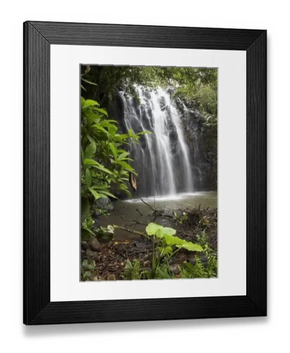 Framed Print : Australia. Elinjaa Falls, near Millaa Millaa, Atherton Tableland, Queensland, Australia
