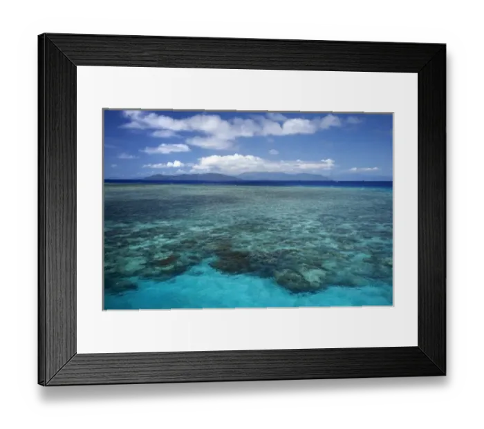 Framed Print : Coral Reef, Green Island, Great Barrier Reef Marine Park, North Queensland, Australia Framed Print : Coral Reef, Green Island, Great Barrier Reef Marine Park, North Queensland, Australia