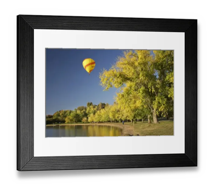 Framed Print : Australia, ACT, Canberra, Hot-Air Balloon and Autumn Colour, Bowen Park, Lake Burley