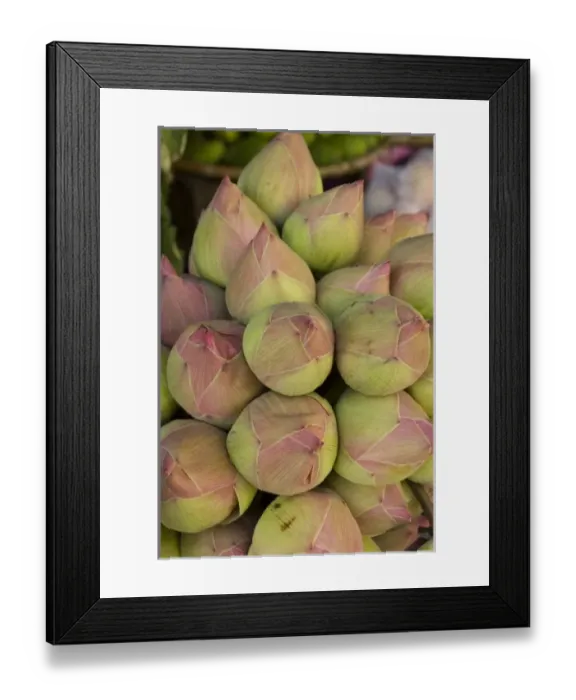 Framed Print : Asia, Cambodia Framed Print : Asia, Cambodia