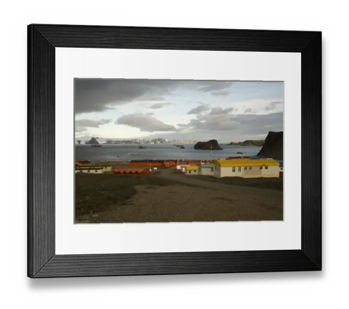 Framed Print : Antarctic, Sub Antarctic Island Framed Print : Antarctic, Sub Antarctic Island