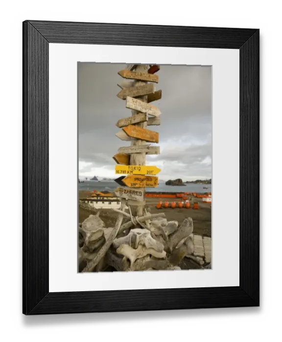 Framed Print : Antarctic, Sub Antarctic Island Framed Print : Antarctic, Sub Antarctic Island