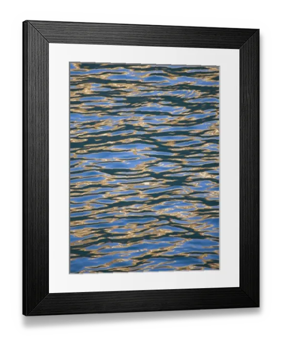 Framed Print : Water with sunlight reflection, South Georgia, Antarctica