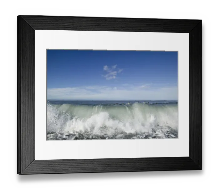 Framed Print : Antarctica, South Georgia Island (UK), King Penguins (Aptenodytes patagonicus) swimming