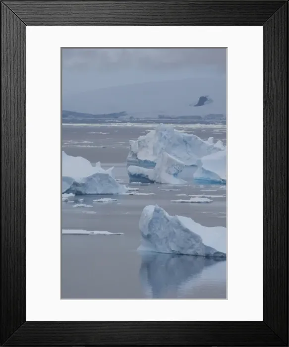 Framed Print : Antarctica, Antarctic Penninsula, Brown Bluff (63832 S, 56855 W). Iceberg Framed Print : Antarctica, Antarctic Penninsula, Brown Bluff (63832 S, 56855 W). Iceberg