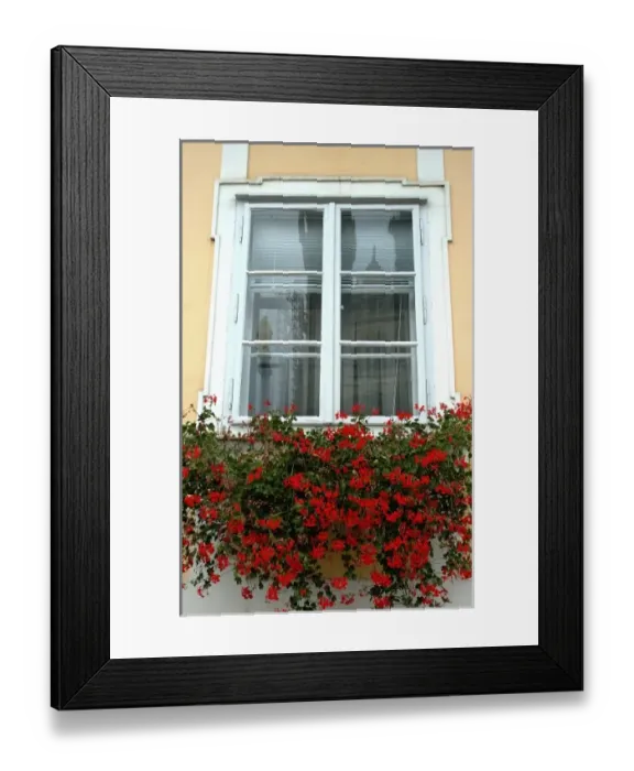 Framed Print : Croatia, Zagreb, Lower Town, flowers in window box Framed Print : Croatia, Zagreb, Lower Town, flowers in window box