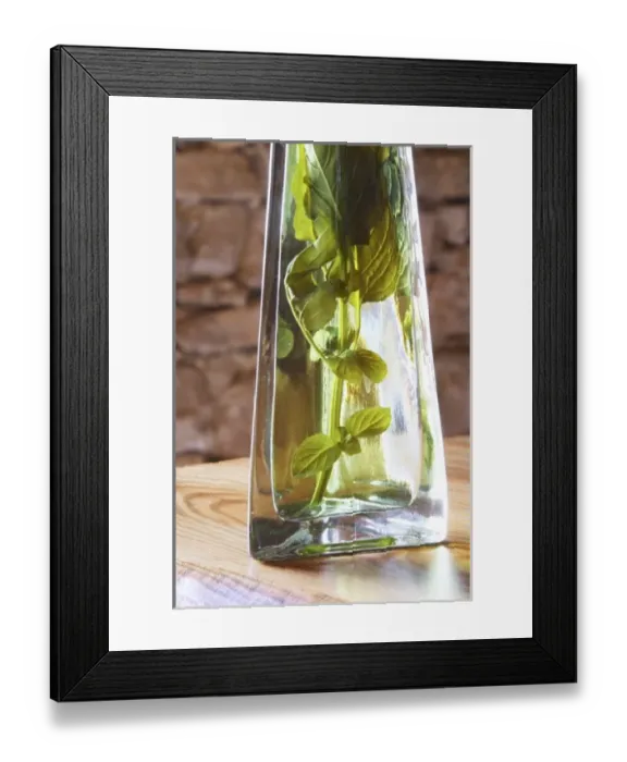 Framed Print : Rakija grappa type spirit flavored with herbs, Travarica, Toreta Vinarija Winery Framed Print : Rakija grappa type spirit flavored with herbs, Travarica, Toreta Vinarija Winery