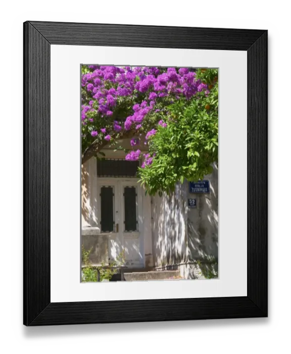 Framed Print : An old house painted white, trees with lilac violet flowers in bloom, Uvala Sumartin