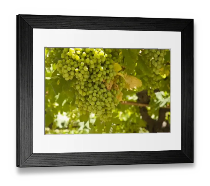 Framed Print : Europe, Croatia Framed Print : Europe, Croatia