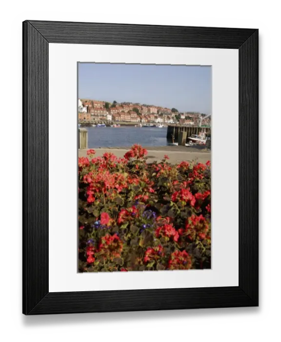 Framed Print : Harbor with fishing boats in the Harbor of beautiful tourist town of Whitby England Framed Print : Harbor with fishing boats in the Harbor of beautiful tourist town of Whitby England