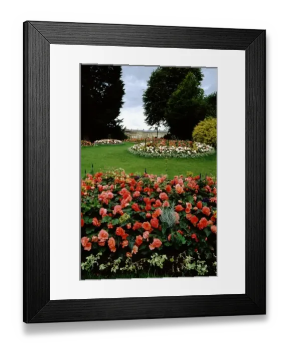 Framed Print : Europe, United Kingdom, England, Bath. Royal Victoria Park gardens with Royal Crescent Framed Print : Europe, United Kingdom, England, Bath. Royal Victoria Park gardens with Royal Crescent