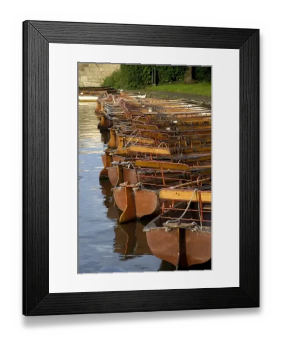 Framed Print : Row boats moored on the River Avon at Stratford-upon-Avon, Warwickshire, England Framed Print : Row boats moored on the River Avon at Stratford-upon-Avon, Warwickshire, England