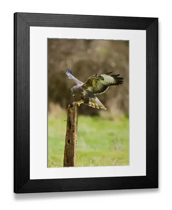 Framed Print : Europe, England Framed Print : Europe, England
