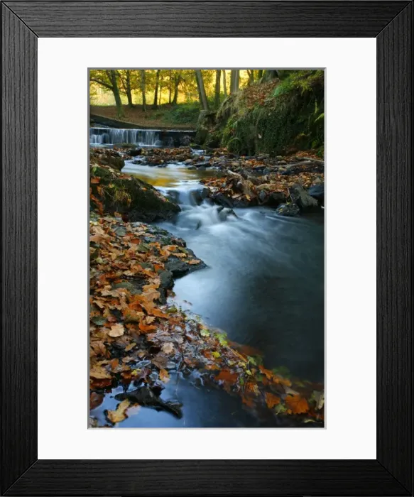 Framed Print : Stream with Fall Leaves in the Forest of Dean, UK Framed Print : Stream with Fall Leaves in the Forest of Dean, UK