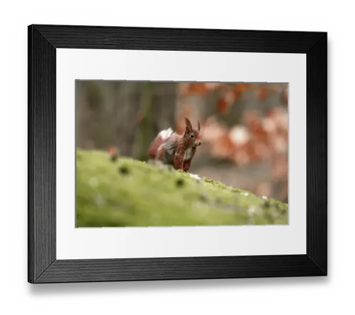 Framed Print : Europe, England