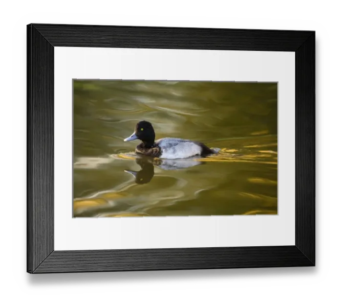 Framed Print : Europe, England