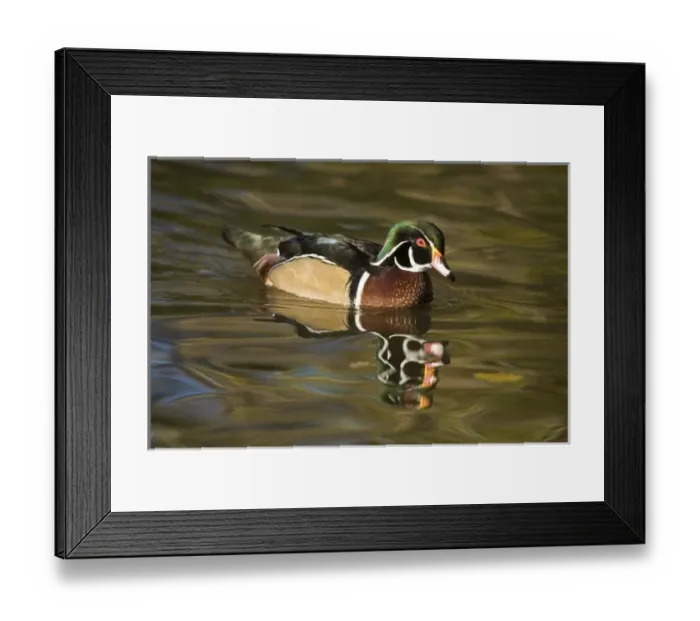 Framed Print : Europe, England Framed Print : Europe, England
