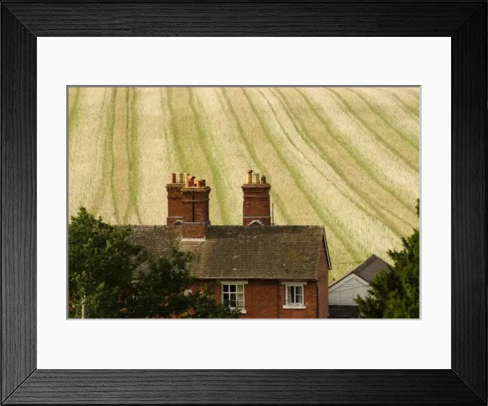 Framed Print : Europe, England, brick farmhouse in front of colourful field Framed Print : Europe, England, brick farmhouse in front of colourful field