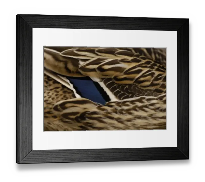 Framed Print : Europe, England Framed Print : Europe, England
