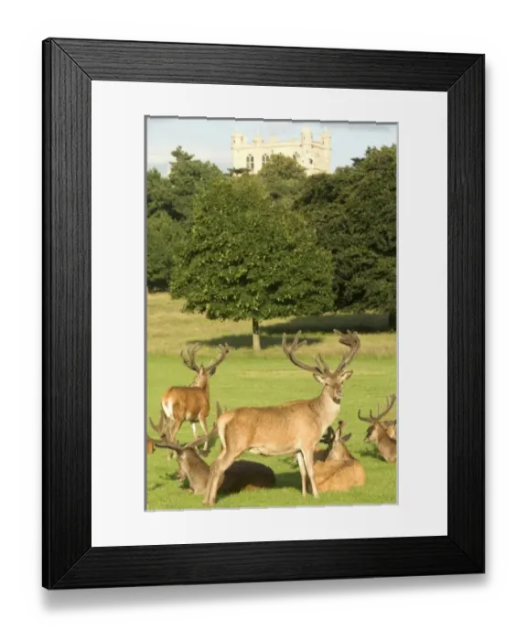 Framed Print : Europe, England Framed Print : Europe, England