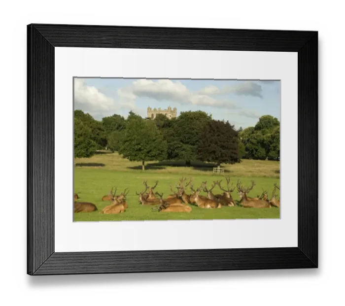 Framed Print : Europe, England Framed Print : Europe, England