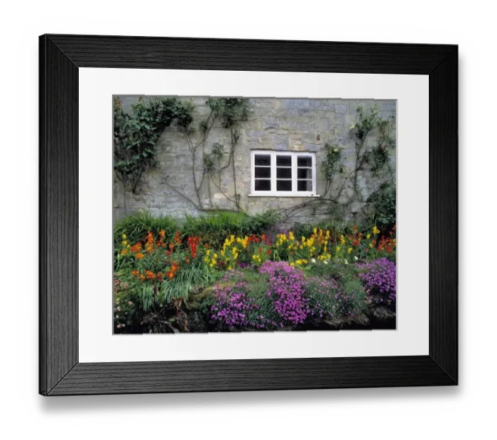 Framed Print : Europe, England, Teffont Magna. Flowers fill the garden of a stone house in Teffont Magna