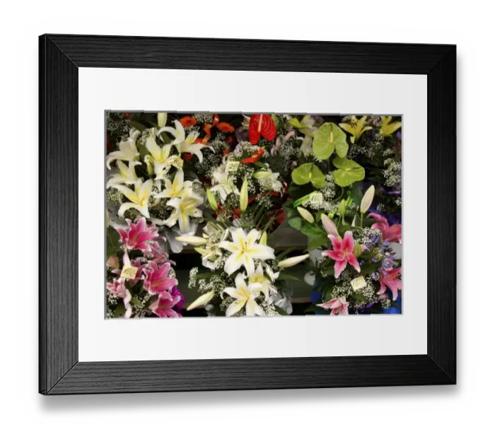 Framed Print : Europe, Estonia Framed Print : Europe, Estonia