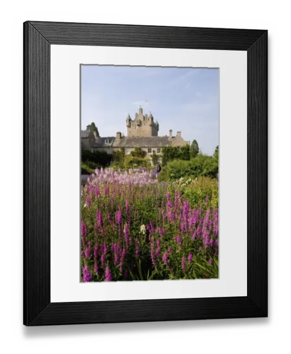 Framed Print : Beautiful gardens and famous castle in Scotland called the Cawdor Castle in Cawdor Framed Print : Beautiful gardens and famous castle in Scotland called the Cawdor Castle in Cawdor