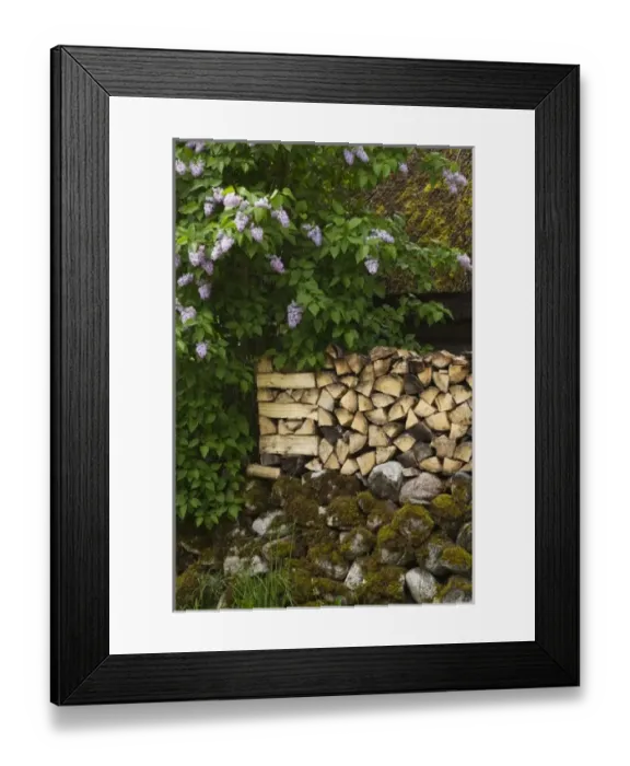 Framed Print : Europe, Estonia Framed Print : Europe, Estonia