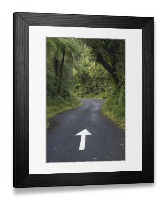 Framed Print : New Zealand Framed Print : New Zealand