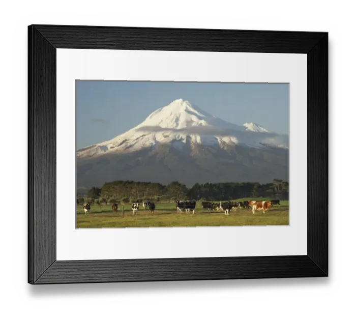Framed Print : New Zealand Framed Print : New Zealand