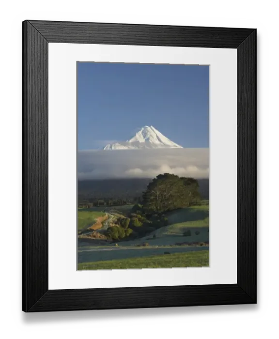 Framed Print : Farmland near Stratford and Mt Taranaki / Mt Egmont, Taranaki, North Island, New Zealand Framed Print : Farmland near Stratford and Mt Taranaki / Mt Egmont, Taranaki, North Island, New Zealand