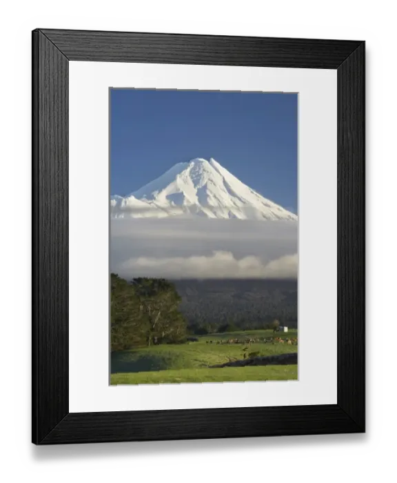 Framed Print : Farmland near Stratford and Mt Taranaki  /  Mt Egmont, Taranaki, North Island, New Zealand