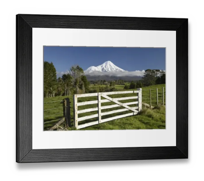 Framed Print : Gate and Farmland near Stratford and Mt Taranaki / Mt Egmont, Taranaki, North Island Framed Print : Gate and Farmland near Stratford and Mt Taranaki / Mt Egmont, Taranaki, North Island