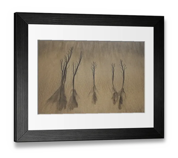Framed Print : New Zealand