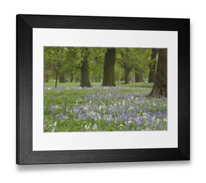 Framed Print : New Zealand Framed Print : New Zealand