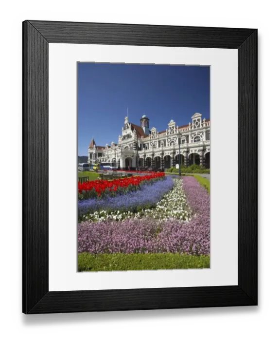 Framed Print : Spring Flowers and Historic Railway Station, Dunedin, South Island, New Zealand Framed Print : Spring Flowers and Historic Railway Station, Dunedin, South Island, New Zealand